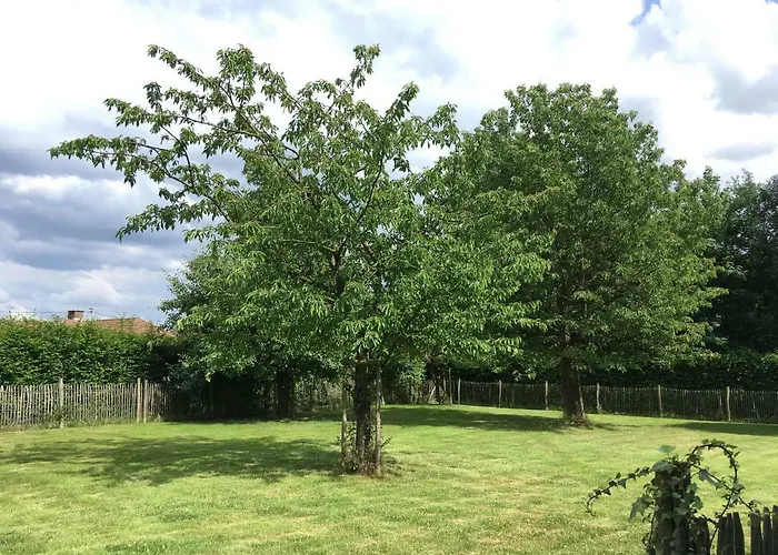 Neerhof